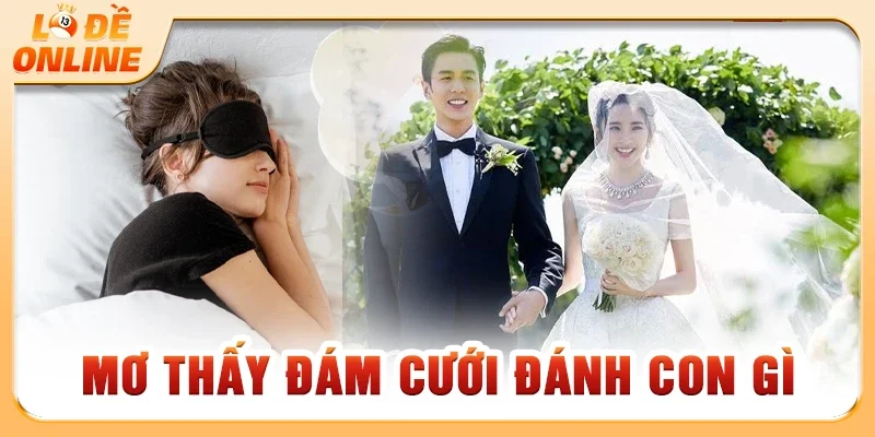 Mơ Thấy Đám Cưới Đánh Con Gì Theo Từng Bối Cảnh Giấc Mơ