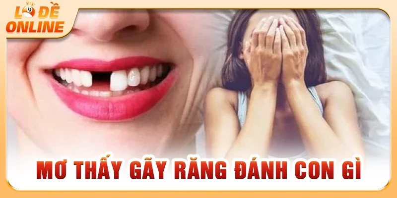 Mơ Thấy Gãy Răng Đánh Con Gì Trúng Lớn Chuẩn Xác Nhất