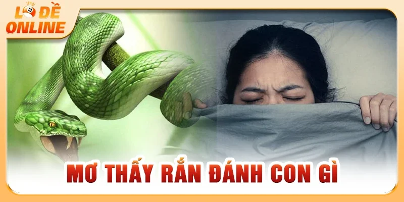 Mơ Thấy Rắn Đánh Con Gì Chuẩn Xác Theo Sổ Mơ Lô Đề