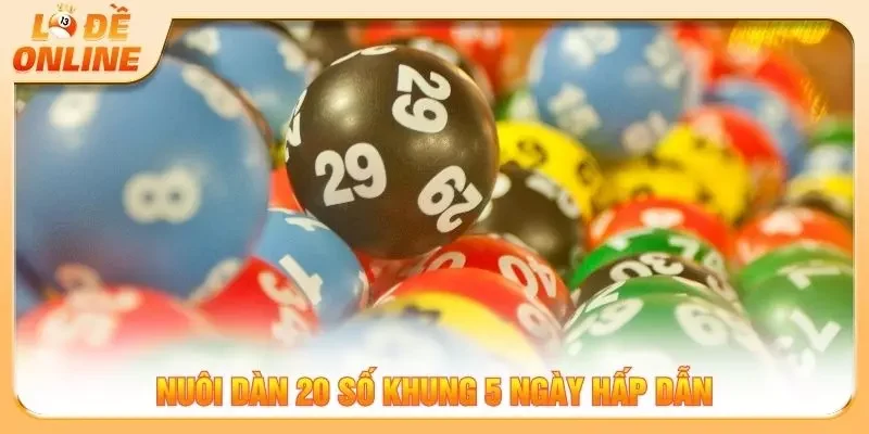 Nuôi dàn 20 số khung 5 ngày hấp dẫn