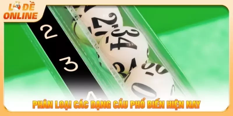 Phân loại các dạng cầu phổ biến hiện nay