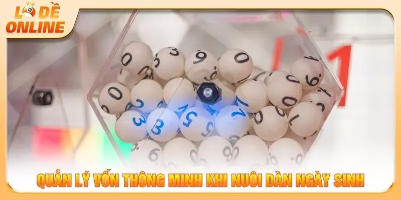 Quản lý vốn thông minh khi nuôi dàn ngày sinh